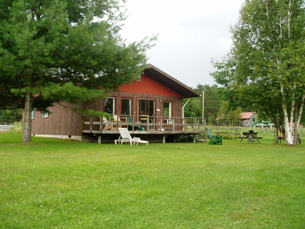 Bondi Village Cottage Resort Lake of Bays Esterno foto