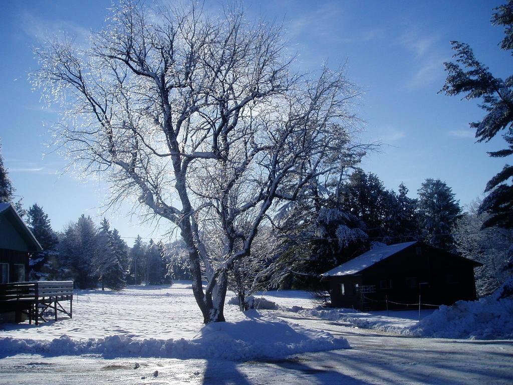 Bondi Village Cottage Resort Lake of Bays Esterno foto